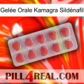Gelée Orale Kamagra Sildénafil 18